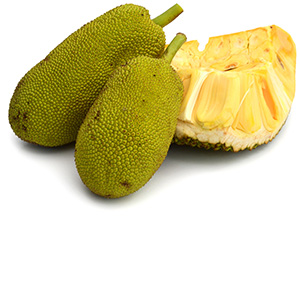 Jackfruit Pro